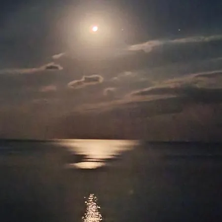Twin Tides George Lejlighed
